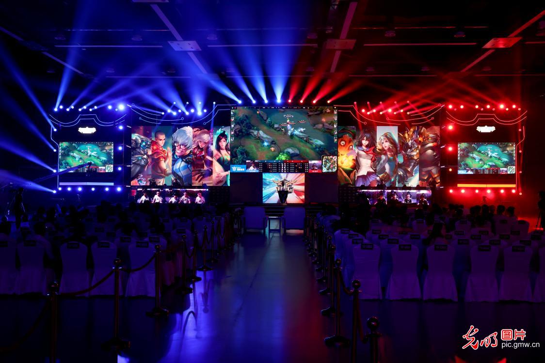 掀起了一阵 掀起了一阵