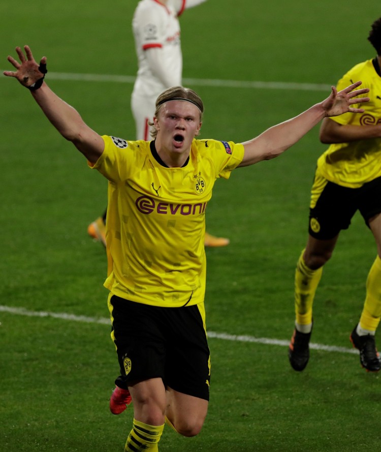 可以预见 可以预见